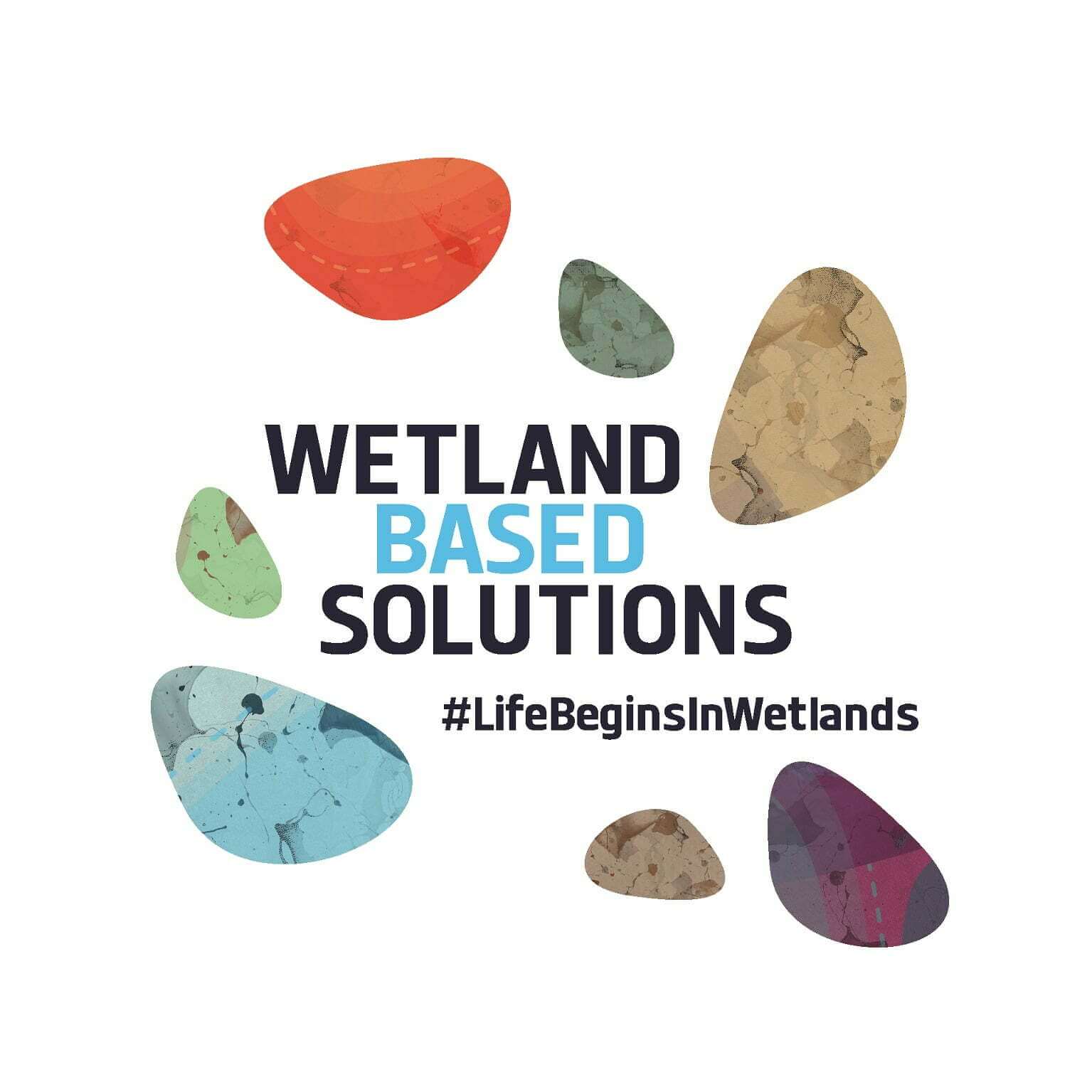 Wetland-Based Solutions